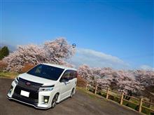 桜&#215;VOXY　part10