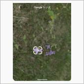 Googleレンズ😳