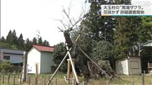 なんてことだ(&#180;・ω・)もう助からないゾ(まて