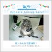 祝・みんカラ歴18年！