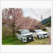 桜コラボFINAL