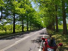 オシリは痛かったが・・・滋賀県マキノへバイクツーリング。