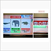 今月の走行記録