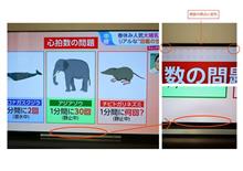 今月の走行記録