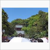 2年ぶりの鶴岡八幡宮