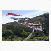 四万十町十川鯉のぼりの川渡し
