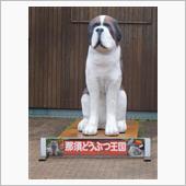 K11マーチで那須どうぶつ公 ...