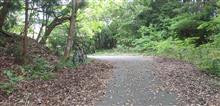 油山、コーナーセンサー