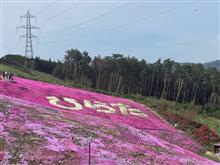 平田村に芝桜を見に行ったよ🌸