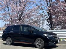 2代目クロエコ号の納車から250週間　 桜を求めて2