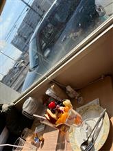 アゼリアでランチ　その３