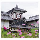 野良時計