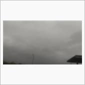 明日は雨☔️かしら？(笑)