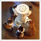 吐く息が白い？！