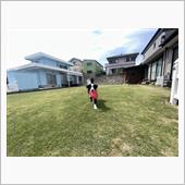 いよいよ芝が動きだしたのでお ...