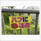 沖縄旅行