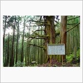 山行日記 2024.5.3  ...