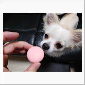 バイバイたまたま