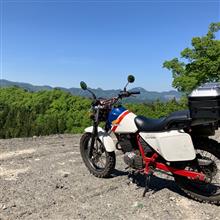 二子山林道を走って来ました