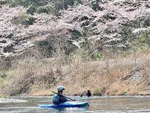青梅花見ツアー