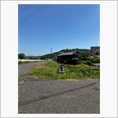 青蛇さんの車検