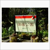 箱根観光～箱根強羅公園～（7）