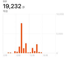 たくさん歩数を稼いだあとで…