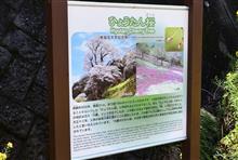 春の高知・愛媛巡り⑯ ひょうたん桜公園 (2024 .3) 春の高知・愛媛巡り⑯ ひょうたん桜公園 (2024 .3)