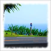 宮崎 フェニックス・ロードを ...