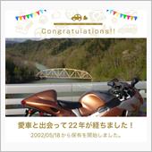 ハヤブサと出会って22年！