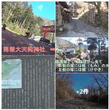 箱根八里の七曲り橿木坂上　甘酒茶屋と忠臣蔵の秘話　記念撮影　📷