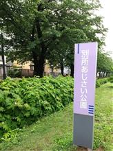 雨の さいたま市 紫陽花咲き始めた〰️♪ 