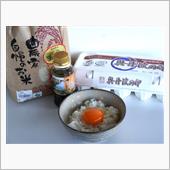 今日の昼食〔たまごがけごはん〕