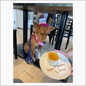 なな一歳🎂