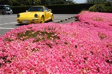 ５月はサツキ＆９９１オイル交換　～ Weekday Drive！