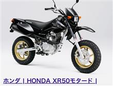 新しい相棒候補