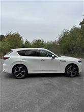 洗車‼️