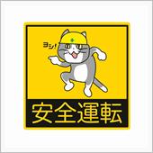 イベントの翌日の、