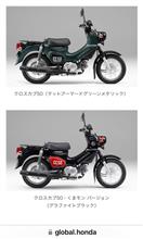 新しい相棒候補②