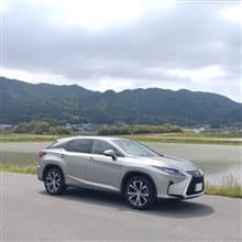 久しぶりに山道を