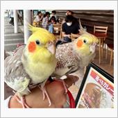 バード クラブ オフ会✨