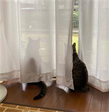 週半ばでバテバテ〜おはです! 週半ばでバテバテ〜おはです!