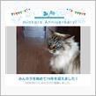 祝・みんカラ歴19年！