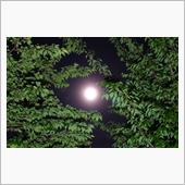 今夜はフラワームーン🌝