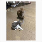 今日ゴミ回収後の掃除当番した ...