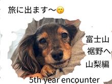 旅に出ます〜😙 富士山 裾野へ 山梨編 そして5年越しの出会い😌 旅に出ます〜😙 富士山 裾野へ 山梨編 そして5年越しの出会い😌