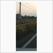 綺麗だなーなんて思ってたら😱