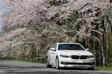 桜が満開・・・