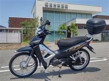 通院と、アジアンバイクと、トップウオーター。