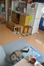 〔隔週〕先週、今週の朝食(81)